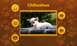 Learn More About Dog Breeds screenshot 4/6