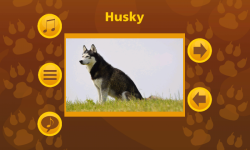 Learn More About Dog Breeds screenshot 6/6