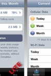 DataMan Lite - Real Time Data Usage Manager screenshot 1/1