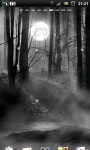 Misty Forest at Night Live Wallpaper screenshot 1/6