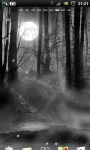 Misty Forest at Night Live Wallpaper screenshot 2/6