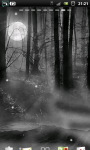 Misty Forest at Night Live Wallpaper screenshot 3/6