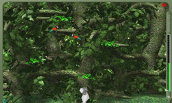 Crazy Jungle Game screenshot 1/4