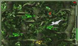 Crazy Jungle Game screenshot 2/4