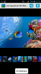 Free Live Aquarium HD Wallpaper screenshot 1/4