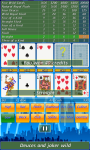 Video Poker by Toftwood Creations screenshot 3/5