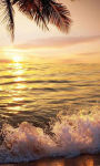 Splendid water front in sunset Wallpaper HD screenshot 2/3