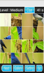 Bird Puzzle Games screenshot 2/3