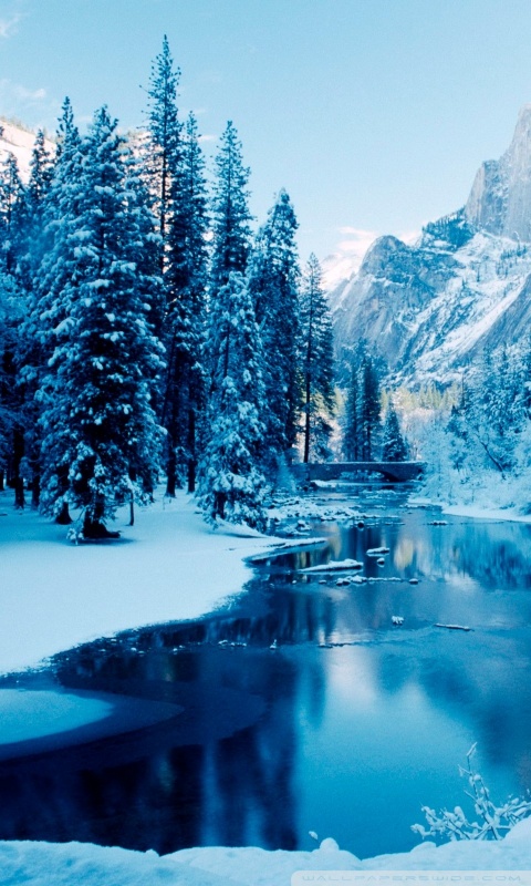 Free Winter Landscapes Wallpapers APK Download For Android ...